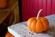 Pumpkin (Image via Unsplash/Nikhita)